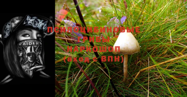 mix Краснослободск