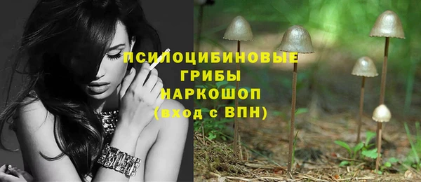 эйфоретик Кулебаки