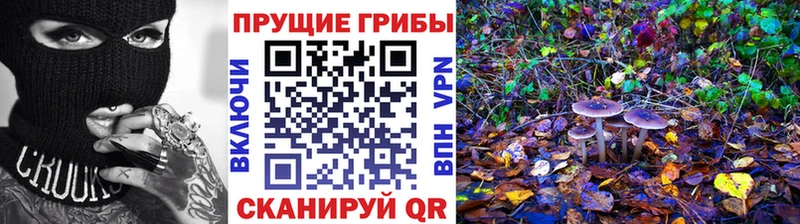 Купить закладки  Олёкминск  Галлюциногенные грибы Cubensis 